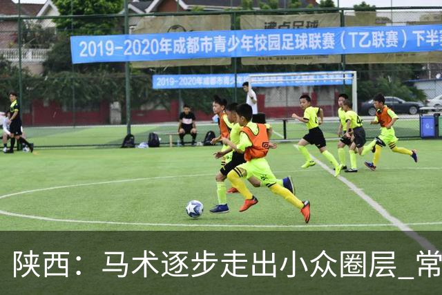 陕西：马术逐步走出小众圈层 常年参训人数达数千人